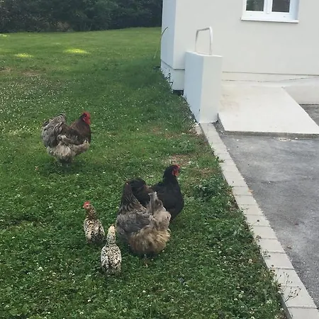 Le Clos Du Silberthal Gasthof Steinbach